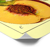 Peaches Vintage 1796 Botanical Art ポスター (角)