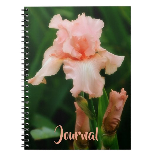Peachy Pink Iris Flower Art Personal Journal ノートブック (正面)