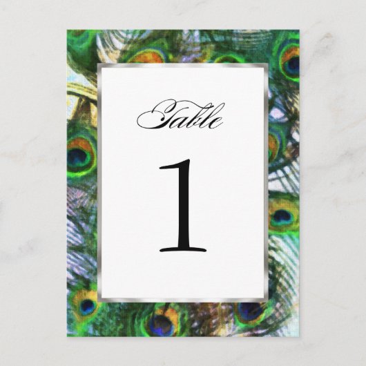 Peacockテーブ誇りを持ったル番号セット1116 ポストカード (正面)