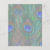 Peacock保の羽毛に落ち着いてテキスト チラシ (裏面)