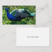 Peacock名刺 名刺 (正面/裏面)