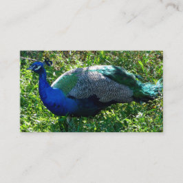 Peacock名刺 名刺