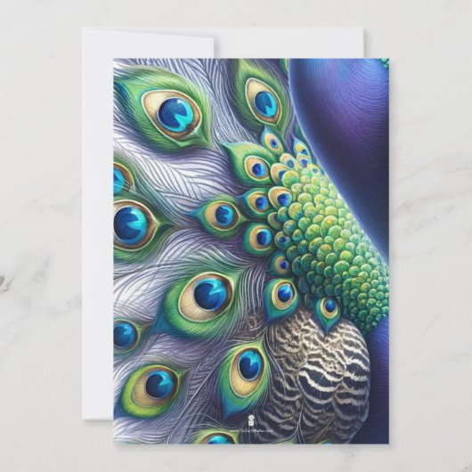 Peacock日付のお知らせ結婚を保存 セーブザデート (裏面)