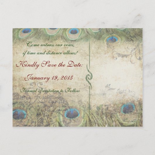 Peacock日付の写真はがきを保存 案内ポストカード (裏面)