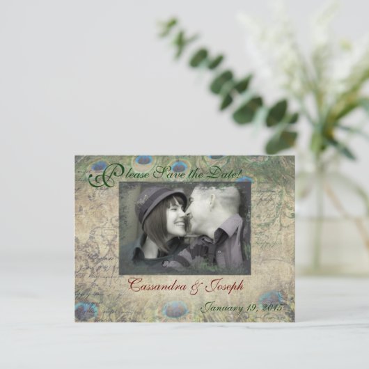 Peacock日付の写真はがきを保存 案内ポストカード (スタンド正面)