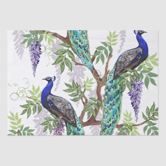 Peacock結婚の15"x"20" 薄葉紙 (正面)