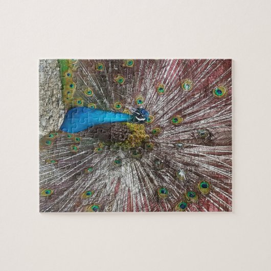 Peacock  ジグソーパズル (横)