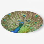 Peacock ペーパープレート (アングル)