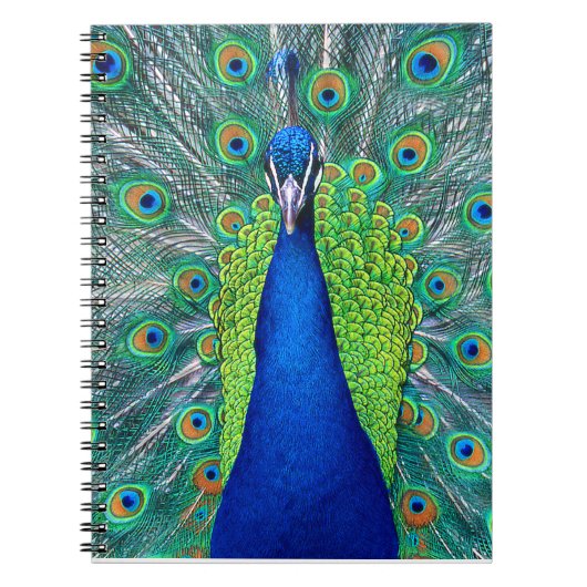 Peacock#1 ノートブック (正面)