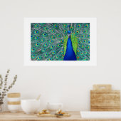 Peacock#3 – ポスター (キッチン)