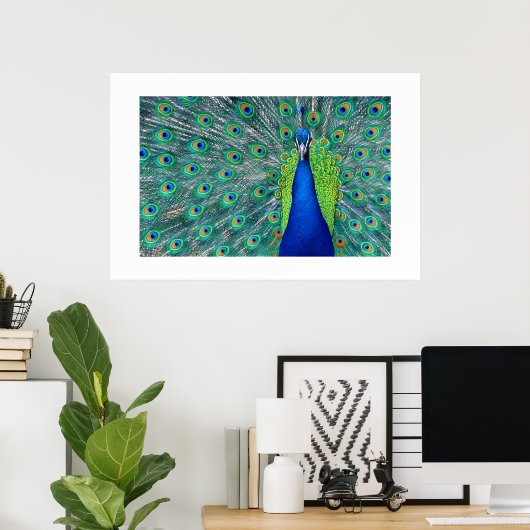 Peacock#3 – ポスター (ホームオフィス)