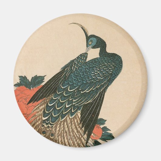 Peacock and Peonies by広重日本の Art マグネット (正面)