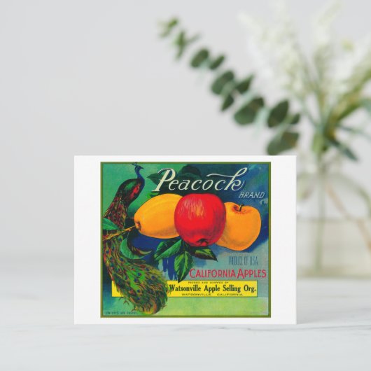 Peacock Apple Crate LabelWatsonville, CA ポストカード (スタンド正面)