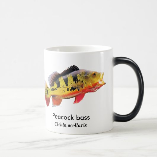 Peacock bass モーフィングマグカップ (右)