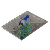 Peacock Bird Kauai (my photography) ノートブック (左側)