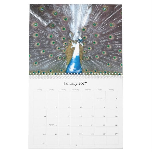 Peacock Calendar カレンダー (1月 2027)