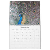 Peacock Calendar カレンダー (2月 2026)