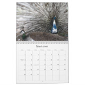 Peacock Calendar カレンダー (3月 2026)