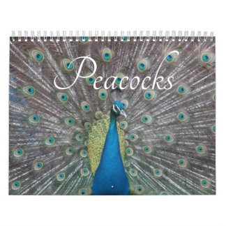 Peacock Calendar カレンダー