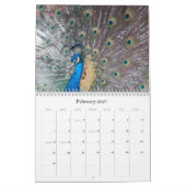 Peacock Calendar カレンダー (2月 2027)