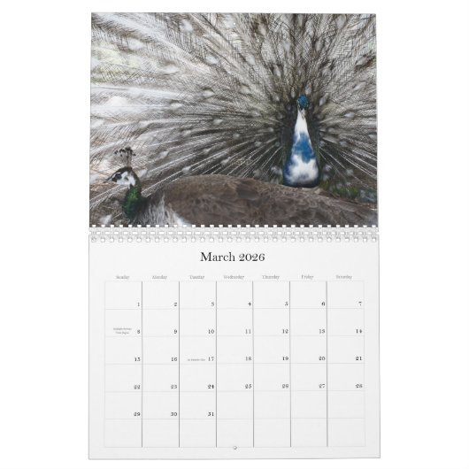 Peacock Calendar カレンダー (3月 2026)
