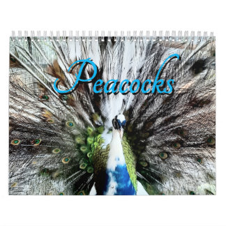 Peacock Calendar カレンダー