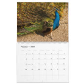 Peacock Calendar 2026 Wall Photo  カレンダー (2月 2026)