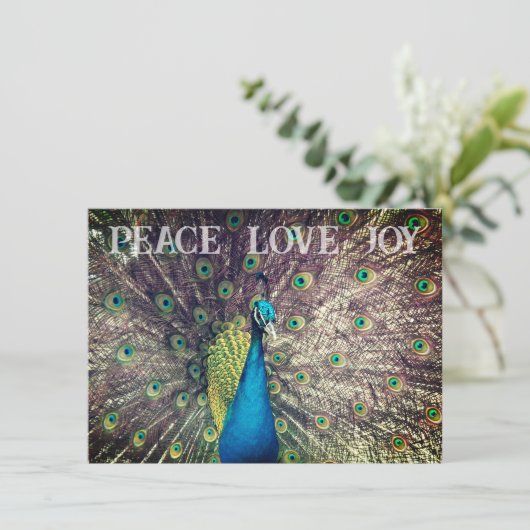 Peacock Christmas Card カード (スタンド正面)