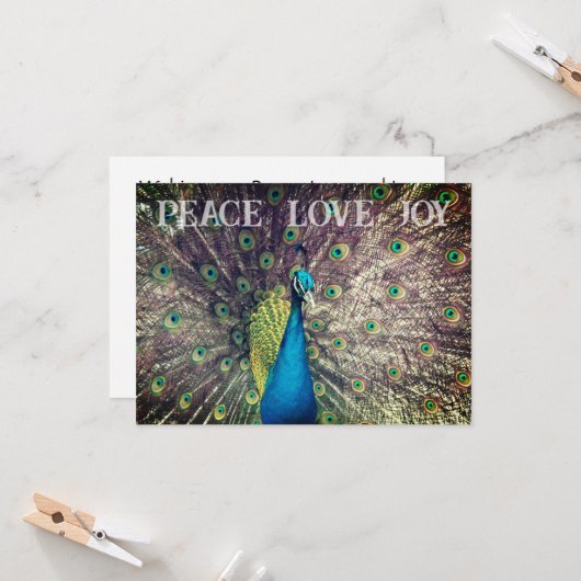 Peacock Christmas Card カード (正面/裏面インサイチュ)