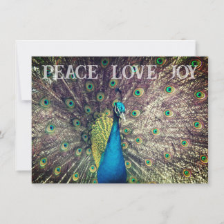 Peacock Christmas Card カード