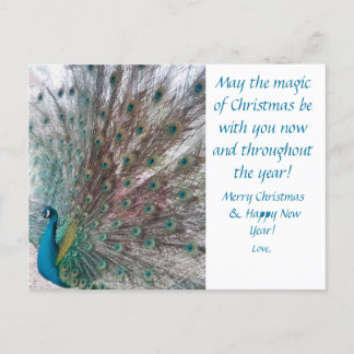 Peacock Christmas Postcard シーズンポストカード