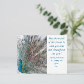 Peacock Christmas Postcard シーズンポストカード (スタンド正面)