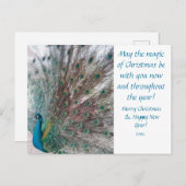 Peacock Christmas Postcard シーズンポストカード (正面/裏面)