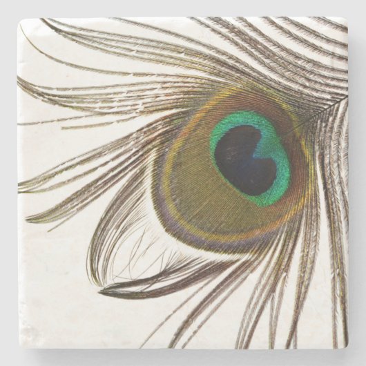  Peacock Feather    ストーンコースター (正面)