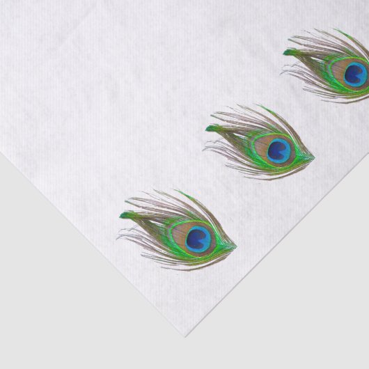 Peacock feather bordered tissue paper 薄葉紙 (詳細)