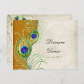 Peacock Feather RSVP応答はがき インビテーションポストカード (正面/裏面)
