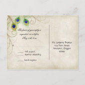 Peacock Feather RSVP応答はがき インビテーションポストカード (裏面)