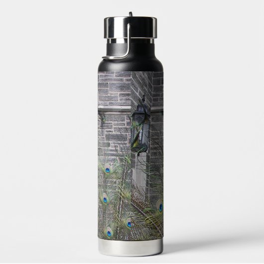 Peacock Feathers and Gothic Windows ウォーターボトル (右面)