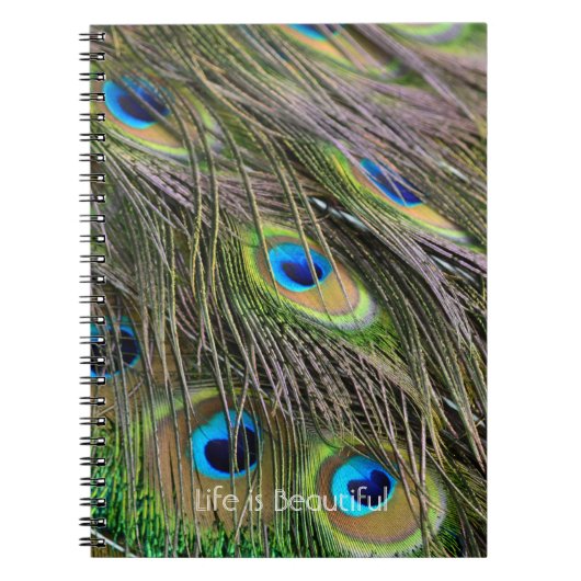 Peacock Feathers Bird Kauai (my photography) ノートブック (正面)