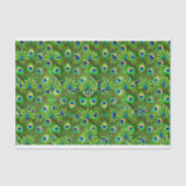 Peacock Feathers Tissue giftwrap 薄葉紙 (正面)