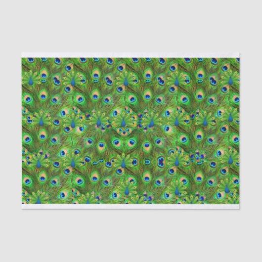 Peacock Feathers Tissue giftwrap 薄葉紙 (正面)