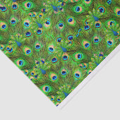 Peacock Feathers Tissue giftwrap 薄葉紙 (詳細)