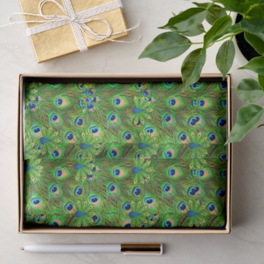 Peacock Feathers Tissue giftwrap 薄葉紙 (ギフト)