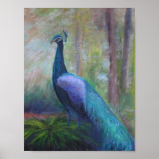 PEACOCK FROM THE FOUNTAIN OF YOUTH Poster ポスター