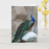 Peacock greeting or note card カード (黄色い花)
