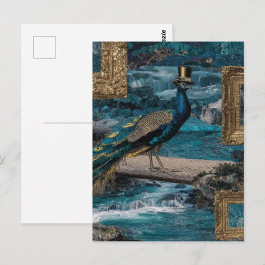 Peacock in a Top Hat ポストカード (正面/裏面)