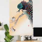 Peacock on a Cherry Blossom Tree, Ohara Koson ポスター (ホームオフィス)