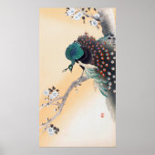Peacock on a Cherry Blossom Tree, Ohara Koson ポスター (正面)