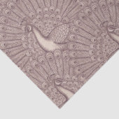 peacock pattern 薄葉紙 (詳細)