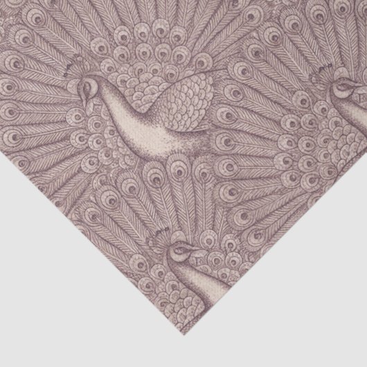 peacock pattern 薄葉紙 (詳細)